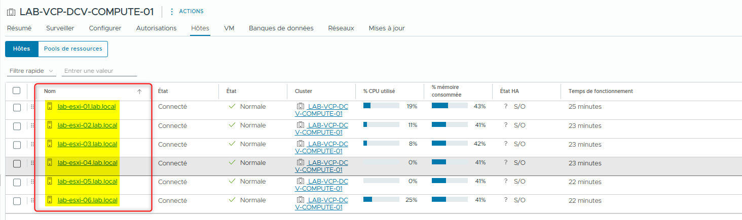 lab-10-visualiser-configuration-vsan-datastore-007.png