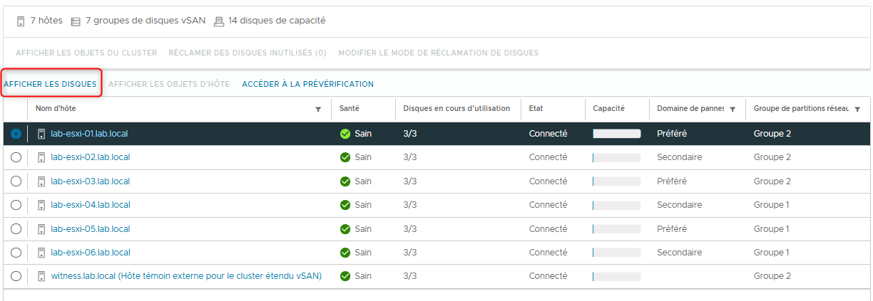 lab-10-visualiser-configuration-vsan-datastore-010.png