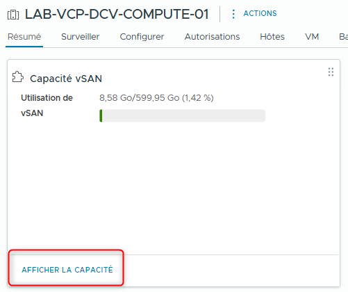 lab-10-visualiser-configuration-vsan-datastore-019.png