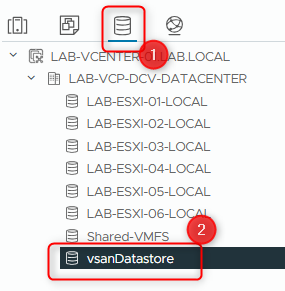 lab-10-visualiser-configuration-vsan-datastore-031.png