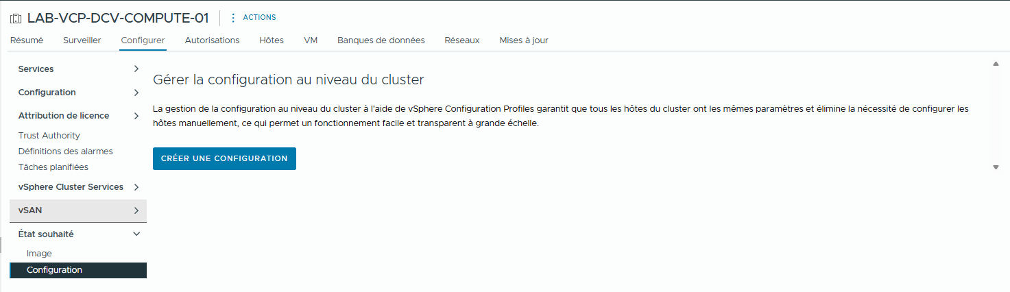 lab-14-utilisation-profils-configuration-vsphere-004.png