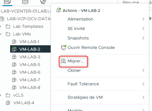 lab-21-vsphere-storage-vmotion-012.png