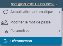 lab2-configuration-hôte-esxi-014.png