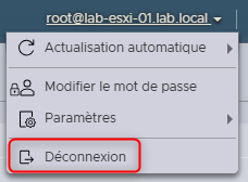 lab2-configuration-hôte-esxi-028.png